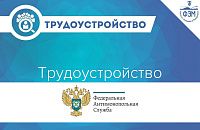 Ленинградское УФАС России приглашает на работу выпускников ФЭМ